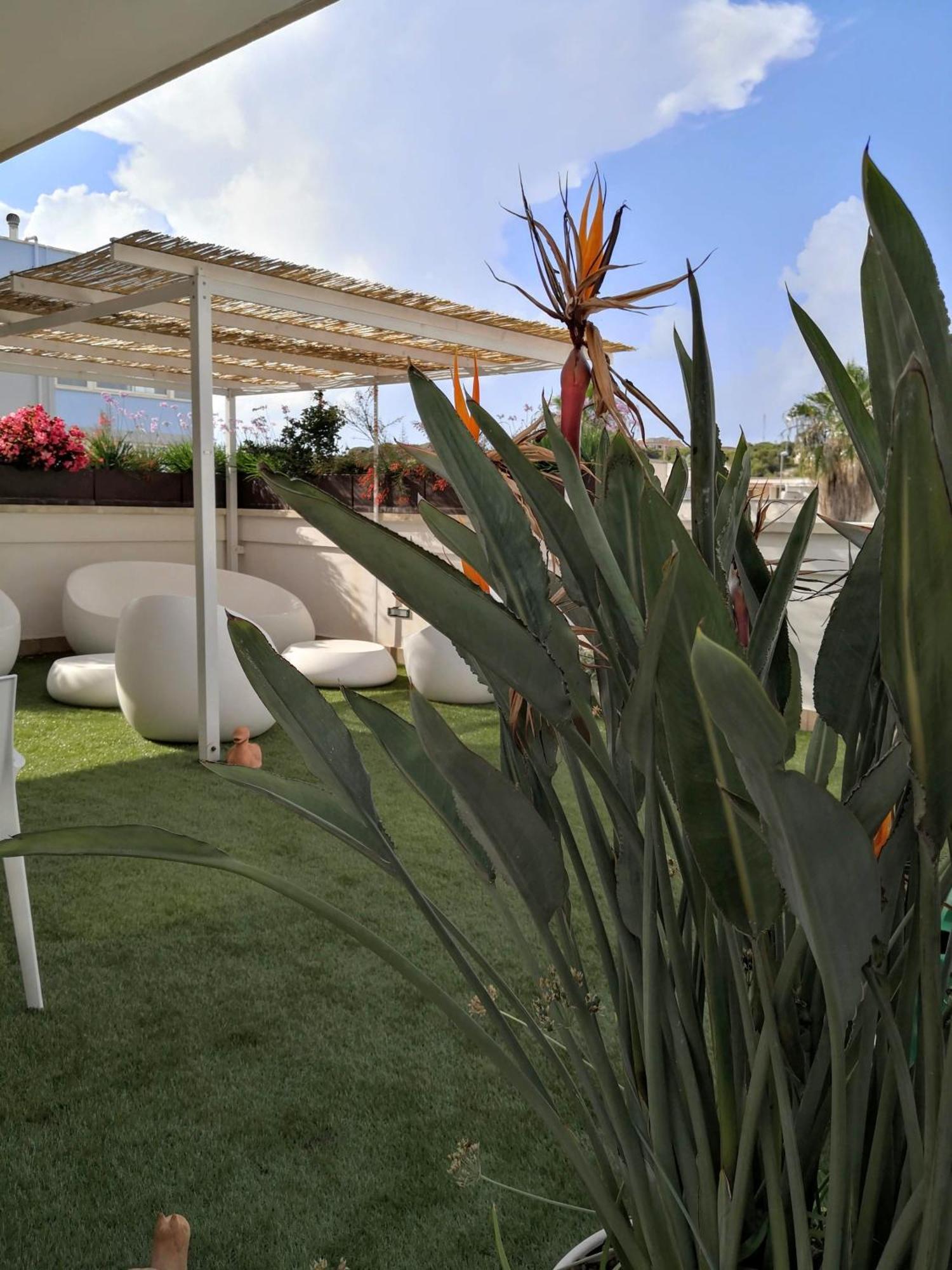مبيت وإفطار غالّيبولي La Casa Del Turista المظهر الخارجي الصورة